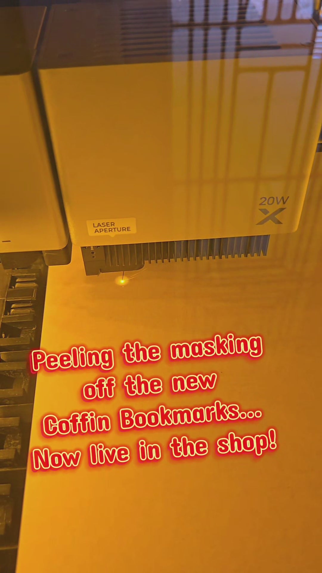 Coffin Bat Laser Cut Acrylic Bookmark | Gothic Vampire | Dark Academia Reader Gift